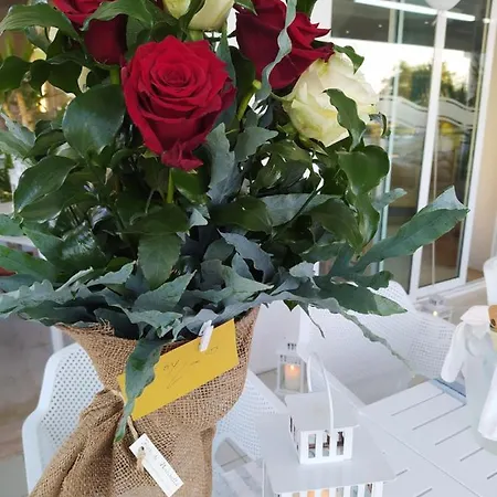 Elios Otel Bellaria-Igea Marina